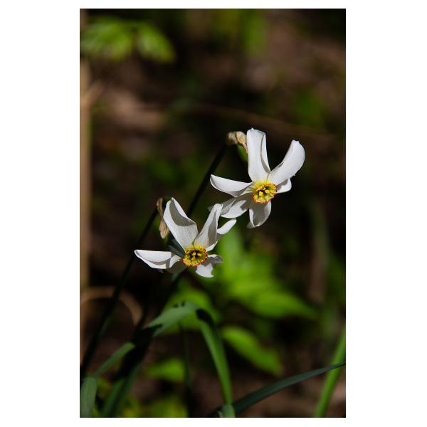 PHOTO84, CLUB, 84 , LUBERON